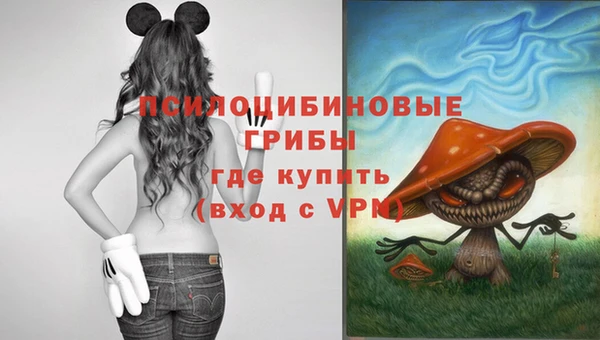 мдпв Балабаново