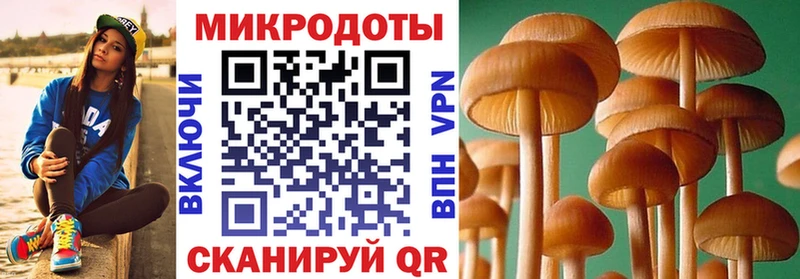 Галлюциногенные грибы Magic Shrooms  дарк нет Telegram  Усть-Джегута 