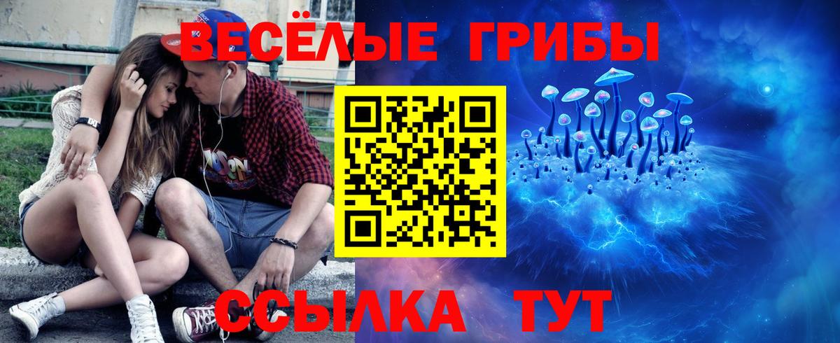 Усть-Джегута  Псилоцибиновые грибы мицелий  Вход с VPN  Галлюциногенные грибы мицелий 
